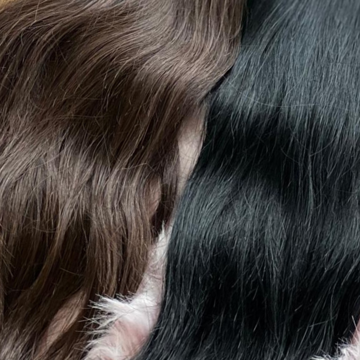 Extensiones Tape-In Cabello Oscuro