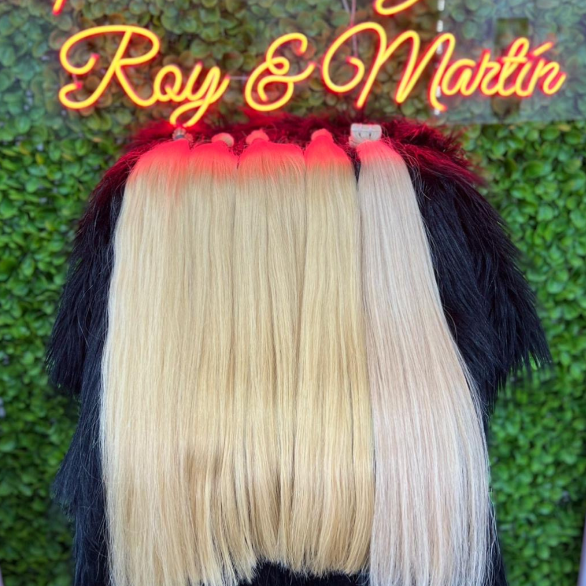 Coleta sin Encapsular Cabello Rubio